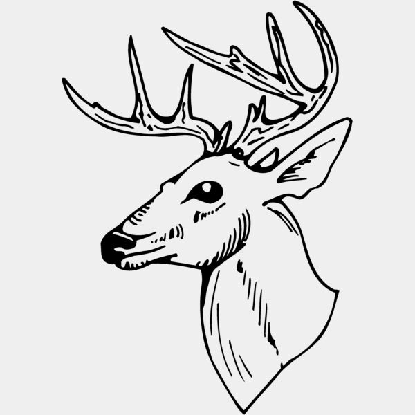 DEER018 Thumbnail