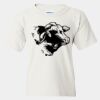Heavy Cotton™  T-Shirt (Youth) Thumbnail