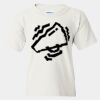 Heavy Cotton™  T-Shirt (Youth) Thumbnail