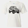 Heavy Cotton™  T-Shirt (Youth) Thumbnail
