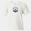 Heavy Cotton™  T-Shirt (Youth) Thumbnail