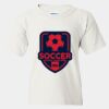 Heavy Cotton™  T-Shirt (Youth) Thumbnail