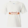 Heavy Cotton™  T-Shirt (Youth) Thumbnail