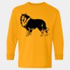  Heavy Cotton™ Long Sleeve T-Shirt (Youth) Thumbnail