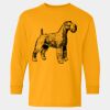  Heavy Cotton™ Long Sleeve T-Shirt (Youth) Thumbnail