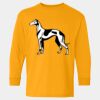  Heavy Cotton™ Long Sleeve T-Shirt (Youth) Thumbnail