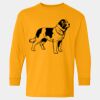  Heavy Cotton™ Long Sleeve T-Shirt (Youth) Thumbnail