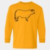  Heavy Cotton™ Long Sleeve T-Shirt (Youth) Thumbnail