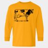  Heavy Cotton™ Long Sleeve T-Shirt (Youth) Thumbnail