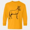  Heavy Cotton™ Long Sleeve T-Shirt (Youth) Thumbnail