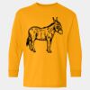  Heavy Cotton™ Long Sleeve T-Shirt (Youth) Thumbnail