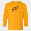  Heavy Cotton™ Long Sleeve T-Shirt (Youth) Thumbnail
