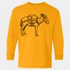  Heavy Cotton™ Long Sleeve T-Shirt (Youth) Thumbnail