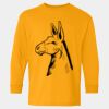  Heavy Cotton™ Long Sleeve T-Shirt (Youth) Thumbnail