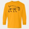  Heavy Cotton™ Long Sleeve T-Shirt (Youth) Thumbnail