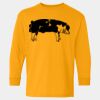  Heavy Cotton™ Long Sleeve T-Shirt (Youth) Thumbnail