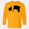  Heavy Cotton™ Long Sleeve T-Shirt (Youth) Thumbnail