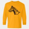  Heavy Cotton™ Long Sleeve T-Shirt (Youth) Thumbnail