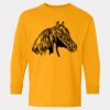  Heavy Cotton™ Long Sleeve T-Shirt (Youth) Thumbnail