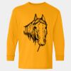  Heavy Cotton™ Long Sleeve T-Shirt (Youth) Thumbnail