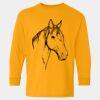  Heavy Cotton™ Long Sleeve T-Shirt (Youth) Thumbnail