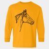  Heavy Cotton™ Long Sleeve T-Shirt (Youth) Thumbnail