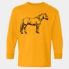  Heavy Cotton™ Long Sleeve T-Shirt (Youth) Thumbnail