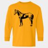  Heavy Cotton™ Long Sleeve T-Shirt (Youth) Thumbnail