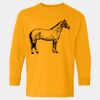  Heavy Cotton™ Long Sleeve T-Shirt (Youth) Thumbnail
