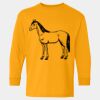  Heavy Cotton™ Long Sleeve T-Shirt (Youth) Thumbnail