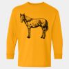  Heavy Cotton™ Long Sleeve T-Shirt (Youth) Thumbnail
