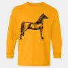  Heavy Cotton™ Long Sleeve T-Shirt (Youth) Thumbnail