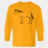  Heavy Cotton™ Long Sleeve T-Shirt (Youth) Thumbnail