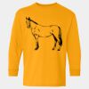  Heavy Cotton™ Long Sleeve T-Shirt (Youth) Thumbnail