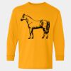  Heavy Cotton™ Long Sleeve T-Shirt (Youth) Thumbnail