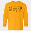  Heavy Cotton™ Long Sleeve T-Shirt (Youth) Thumbnail