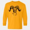  Heavy Cotton™ Long Sleeve T-Shirt (Youth) Thumbnail