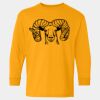  Heavy Cotton™ Long Sleeve T-Shirt (Youth) Thumbnail
