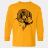 Heavy Cotton™ Long Sleeve T-Shirt (Youth) Thumbnail