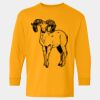  Heavy Cotton™ Long Sleeve T-Shirt (Youth) Thumbnail