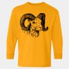 Heavy Cotton™ Long Sleeve T-Shirt (Youth) Thumbnail