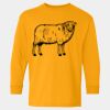  Heavy Cotton™ Long Sleeve T-Shirt (Youth) Thumbnail