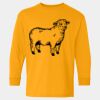  Heavy Cotton™ Long Sleeve T-Shirt (Youth) Thumbnail