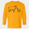 Heavy Cotton™ Long Sleeve T-Shirt (Youth) Thumbnail