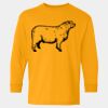  Heavy Cotton™ Long Sleeve T-Shirt (Youth) Thumbnail