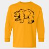  Heavy Cotton™ Long Sleeve T-Shirt (Youth) Thumbnail