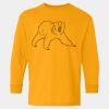  Heavy Cotton™ Long Sleeve T-Shirt (Youth) Thumbnail