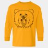 Heavy Cotton™ Long Sleeve T-Shirt (Youth) Thumbnail