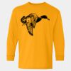  Heavy Cotton™ Long Sleeve T-Shirt (Youth) Thumbnail