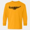  Heavy Cotton™ Long Sleeve T-Shirt (Youth) Thumbnail